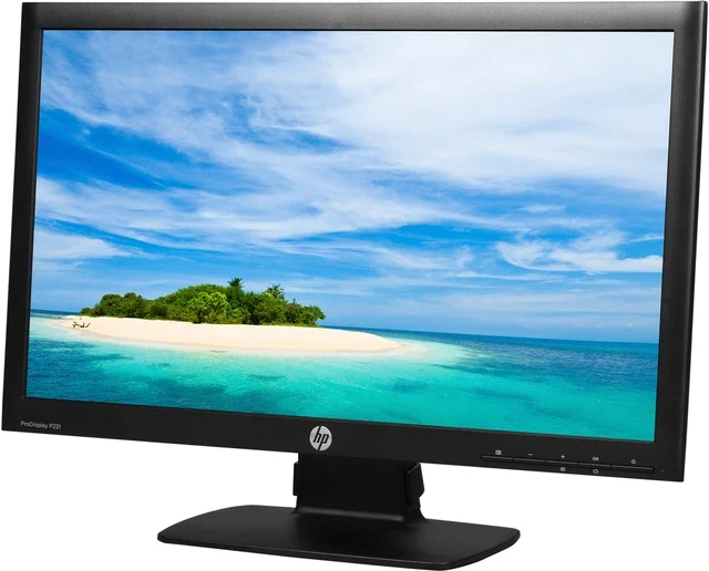 مانیتور کارکرده HP ProDisplay P221 | 22 اینچ